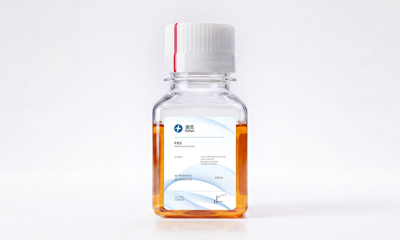 胎牛血清（FBS）100ml