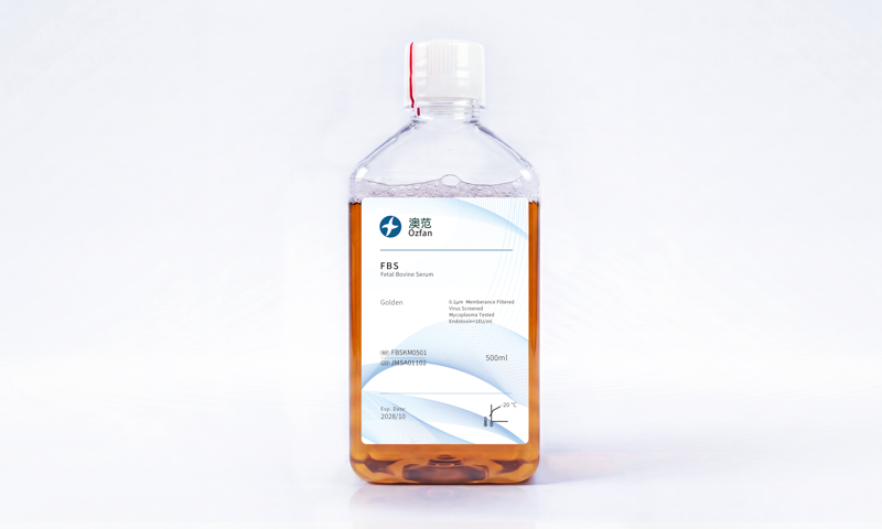 胎牛血清（FBS）500ml