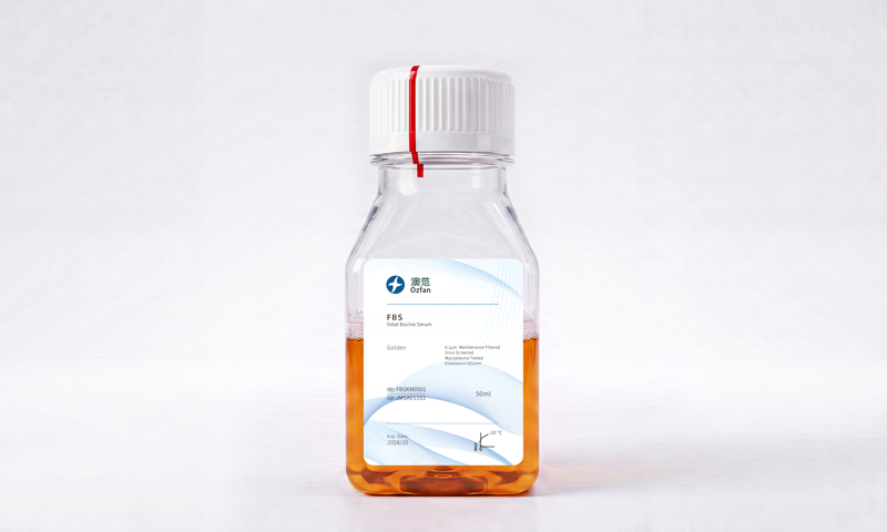 胎牛血清（FBS）50ml